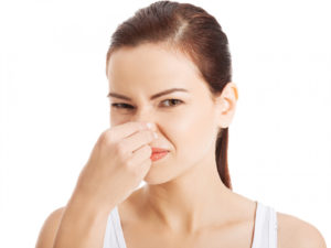 Air Scrubber in Salt Lake City, Provo, Willard, UT, and, Surrounding Areas