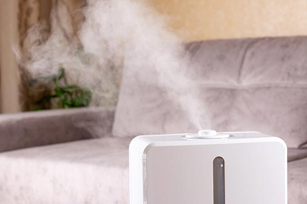 Humidifier System Units