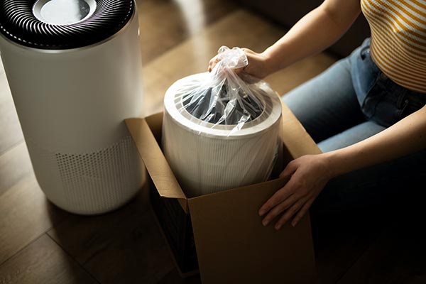 Smart Air Purifier Unit