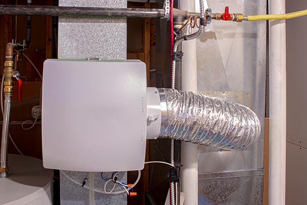 Whole-Home Humidifier Services